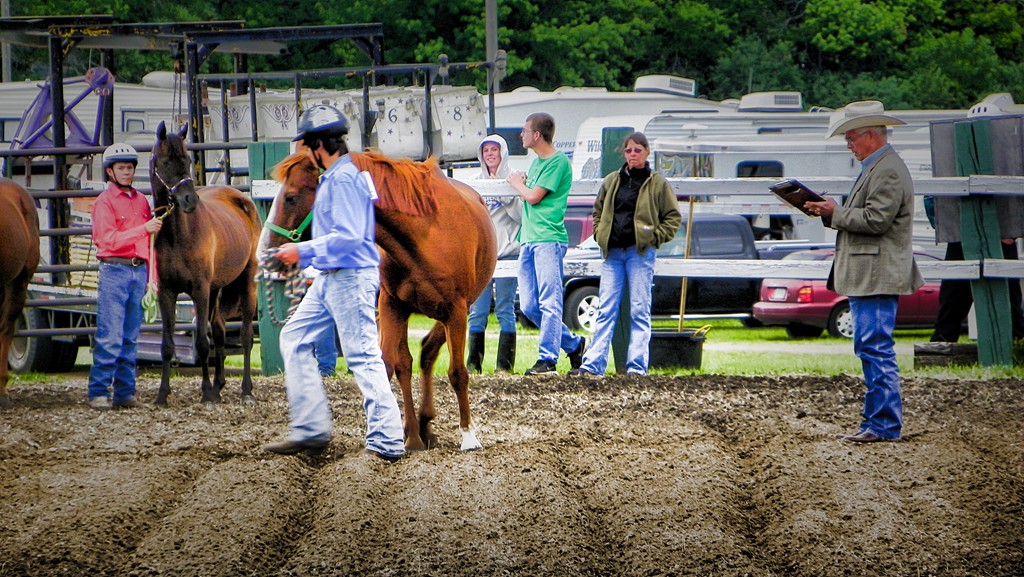 4-H Horse Judging-3 – MNbump.com