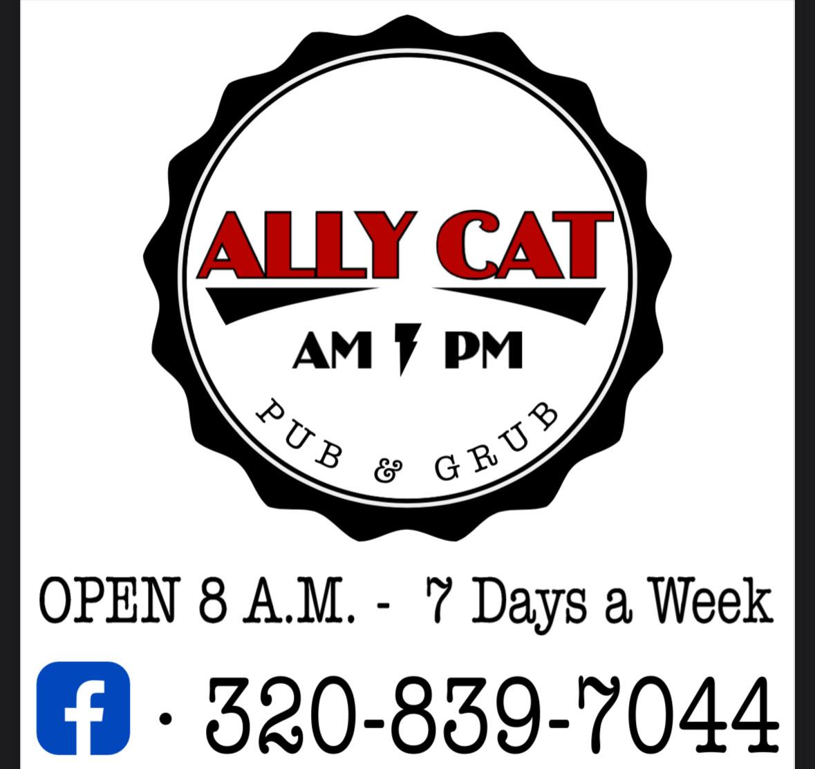 Ally Cat New Logo – MNbump